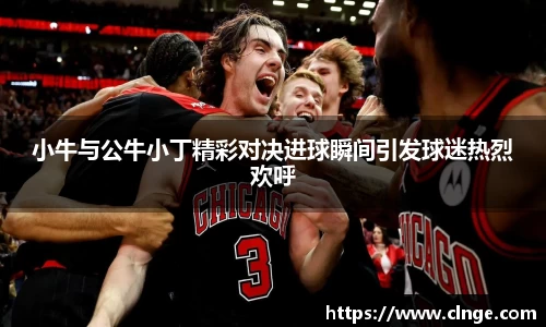 bsports必一体育