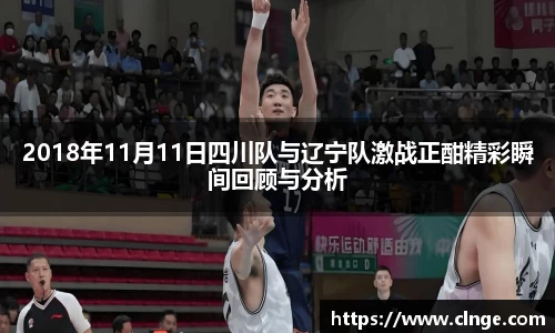 2018年11月11日四川队与辽宁队激战正酣精彩瞬间回顾与分析