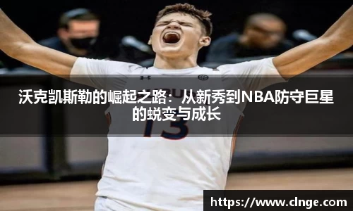 bsports必一体育
