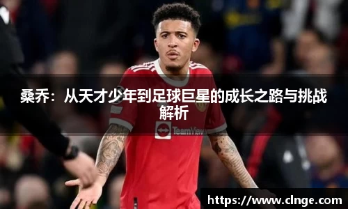 bsports必一体育